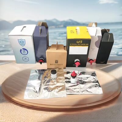 স্পাউট সহ টেক্সচার্ড সারফেস ব্যাগ ইন বক্স প্লাস্টিক কন্টেইনার, ফুড গ্রেড লিকুইড প্যাকেজিং অ্যাপ্লিকেশনের জন্য উপযুক্ত