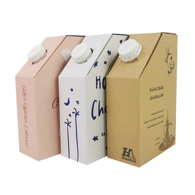 প্লাস্টিক BIB ব্যাগ ইন বক্স ১লিটার গরম কফি বক্স তরল প্যাকেজিং