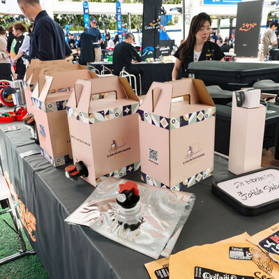 স্পাউট সহ টেক্সচার্ড সারফেস ব্যাগ ইন বক্স প্লাস্টিক কন্টেইনার, ফুড গ্রেড লিকুইড প্যাকেজিং অ্যাপ্লিকেশনের জন্য উপযুক্ত