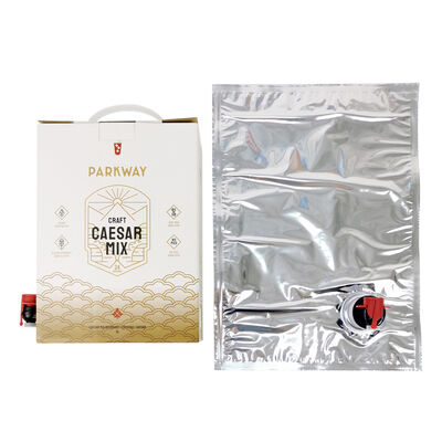 Handle Bag In Box Customized Printing Tap Accessories Versatile Packaging Solution for Industrial and Commercial Liquids
