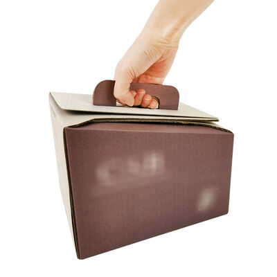 Customized Bag In Box Packaging Solutions Plastic Durable Leak Resistant Container for Liquid Storage and Transport